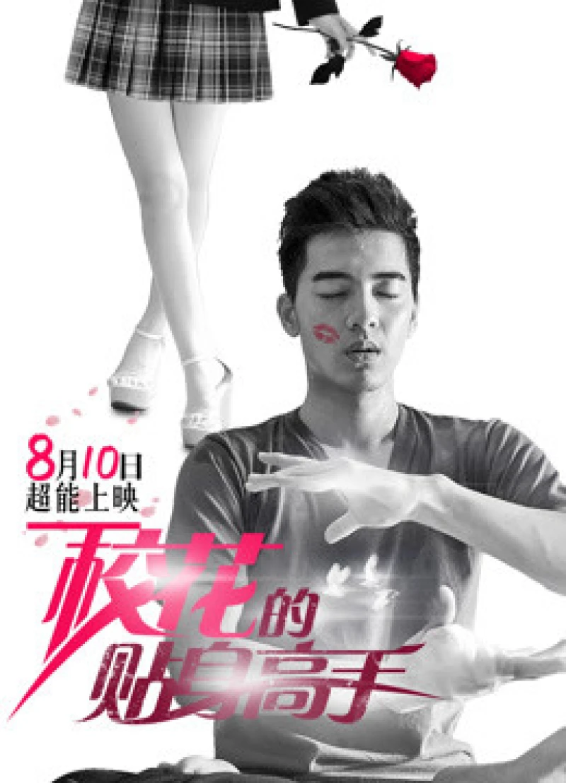 Cao Thủ Cận Vệ Của Hoa Khôi - Mr. Bodyguard (2016)