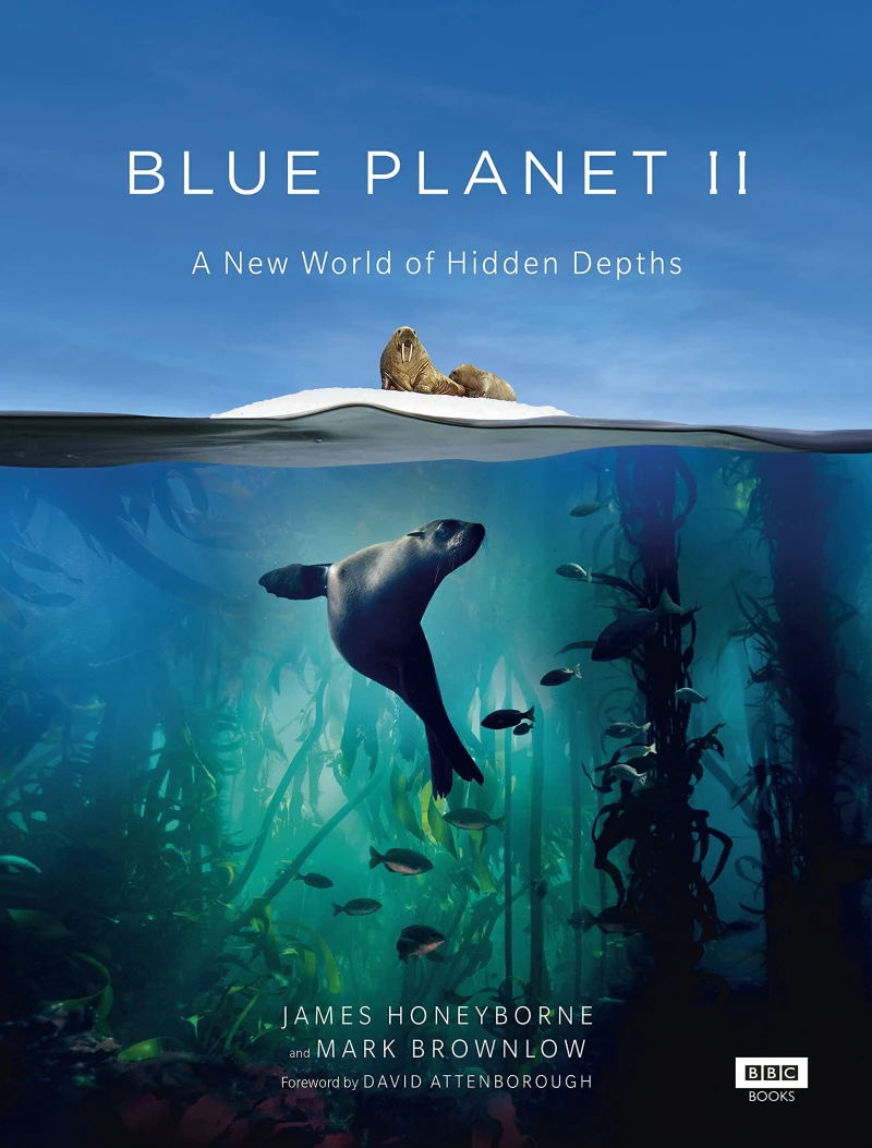 Đại Dương Sâu Thẳm 2 - The Blue Planet 2 (2017)